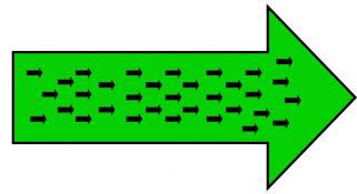 NewLevelResults-Are-You-a-green-arrow-team Green Arrow Team